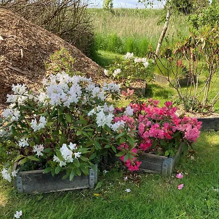 Semesterbostad 3355-stege-bundgarnet-55 *